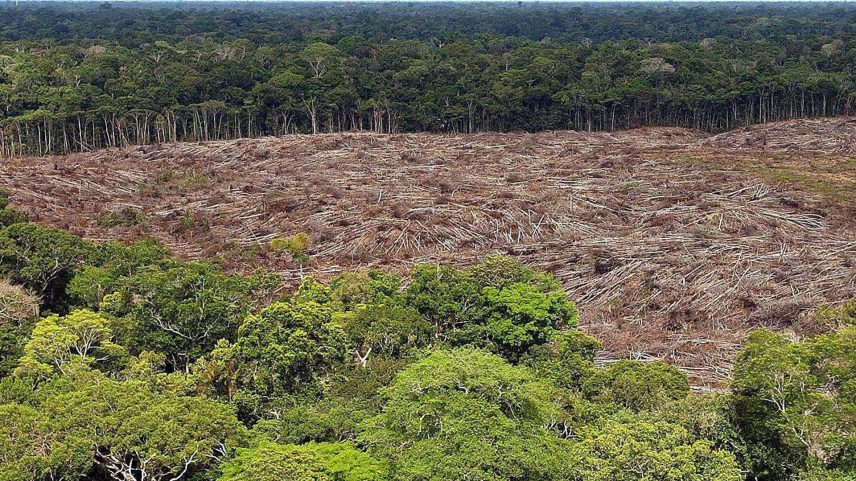 Vários países desenvolvidos manifestaram interesse em investir no TFFF (Foto: Reprodução)