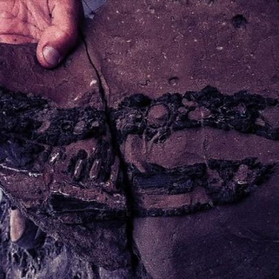 Crocodilo terrestre de 66 milhões de anos é descoberto na Patagônia como predador de dinossauros