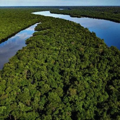 Amazônia pode evitar colapso com ações eficazes de conservação, aponta estudo