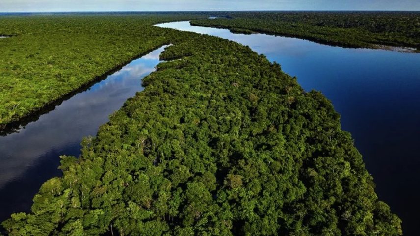 Vista aérea da Amazônia — Foto: Divulgação/ Imagem de Drone/Amazônia