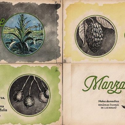 Livro revela 150 ervas que inspiraram os melhores coquetéis da história