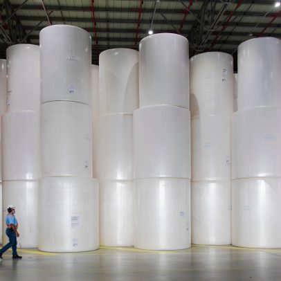Klabin e Suzano apresentam resultados do 2T25 e expectativas do mercado se intensificam