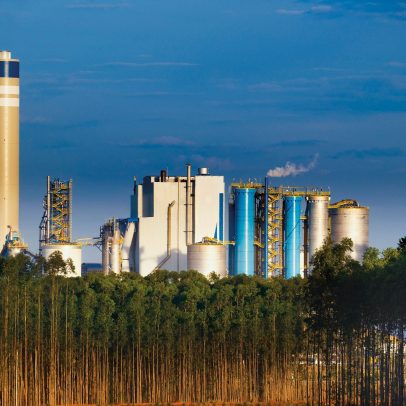 Suzano informa aumento de US$ 20 na celulose para clientes da Ásia