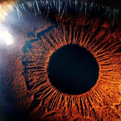 Tetracromatas conseguem perceber até 100 milhões de cores diferentes