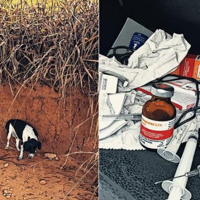 Funcionários da Defesa Civil são presos por dopar e abandonar cachorros em Cordeiro