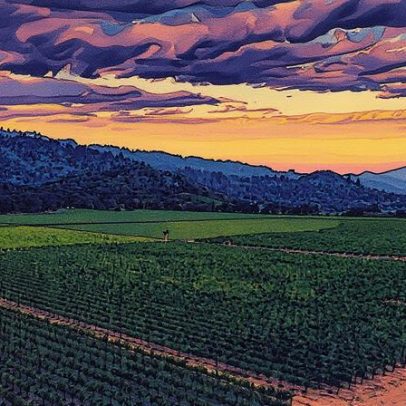 Dominus investe em Napa com aquisição histórica de vinhedo renomado