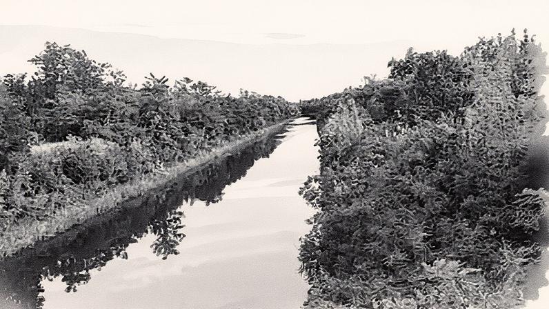 O canal Siverski-Donets, na província ucraniana de Donetsk, em 7 de agosto. (Foto: Reprodução)