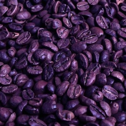 Café alcança preço recorde de R$ 3,3 milhões em leilão histórico