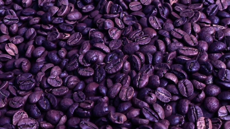 Grãos de café; lote do Panamá bateu recorde de café mais caro do mundo (Foto: Dado Ruvic/Reuters)