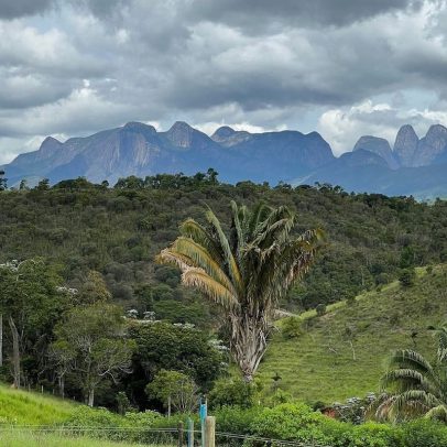 Regulação ambiental em Santa Catarina e os desafios dos campos de altitude