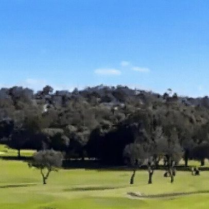 Avião realiza pouso de emergência em campo de golfe na Austrália; assista ao vídeo
