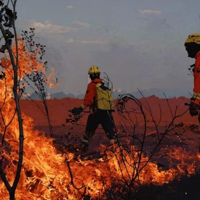 Governo se prepara para novos desafios após queda nos incêndios florestais