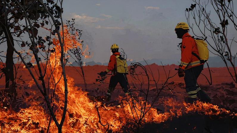 Combate a incêndio no Parque Nacional de Brasília (Foto: Cristiano Mariz/Agência O Globo/16/09/2024)