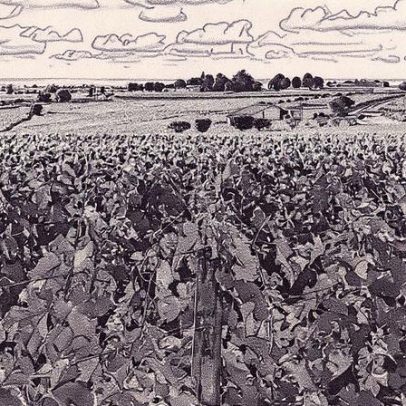 Colheita da propriedade St-Emilion começa mais cedo do que nunca nesta temporada