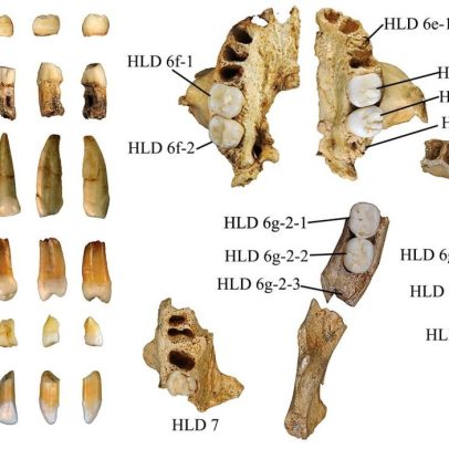 Fósseis de hominídeos de 300 mil anos na China revelam traços de Homo sapiens