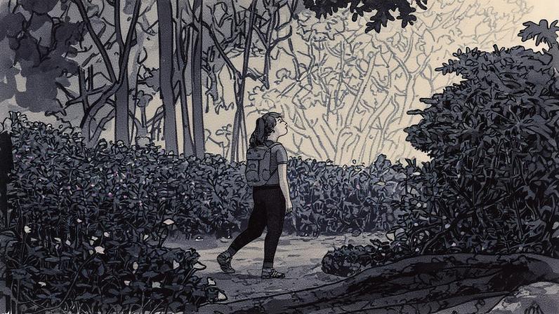 Estar na natureza faz bem para o cérebro (Foto: NYT)