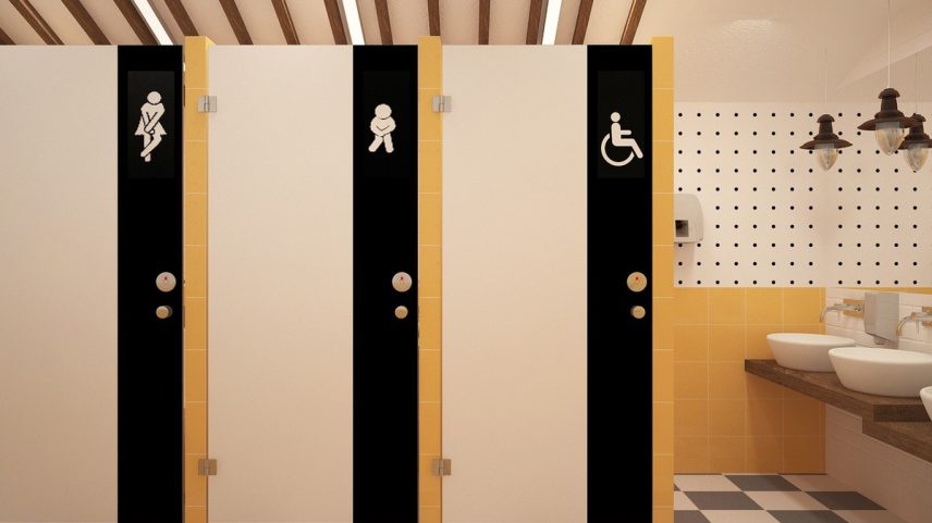 A descarga do vaso sanitário dispersa micróbios — Foto: Pixabay