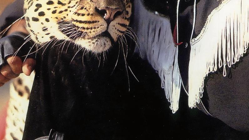 Carrero foi apresentador de atrações de circo nos anos 1980 e 1990, trabalhou em rodeios e sempre foi atrelado aos bichos (Foto: Reprodução/Facebook: Beto Carrero World)