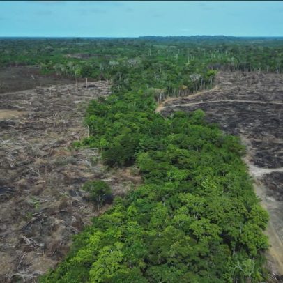 Pontos de não retorno ameaçam o equilíbrio ambiental do planeta