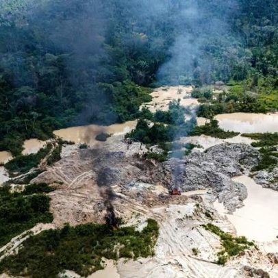 Desintrusão na terra indígena Kayapó gera incertezas e preocupações ambientais