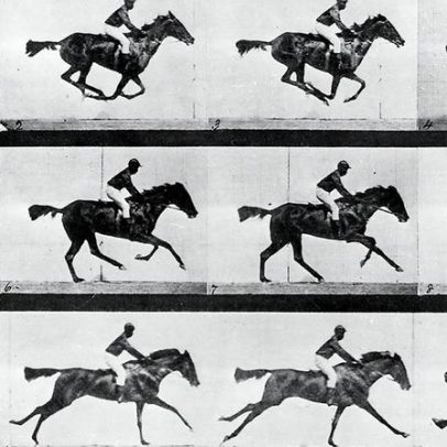 A clareza e a precisão definem a qualidade das imagens científicas