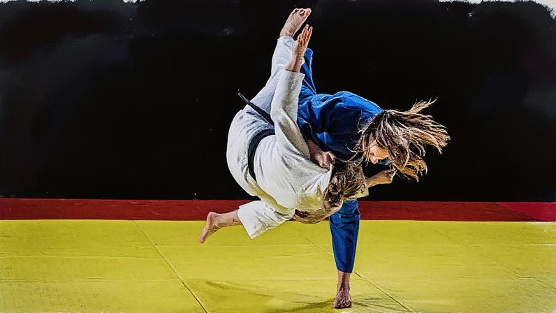 Câmara aprova regulamentação da profissão de professor de artes marciais (Foto: Divulgação)