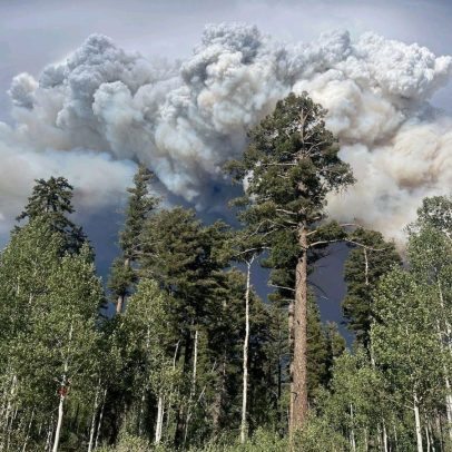 Incêndio florestal atinge Grand Canyon e se torna o maior do ano nos EUA