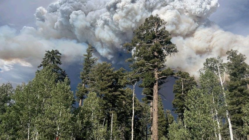 Maior incêndio florestal do ano nos EUA está fora de controle no Grand Canyon (Foto: Southwest Area Incident Management Team/AFP)