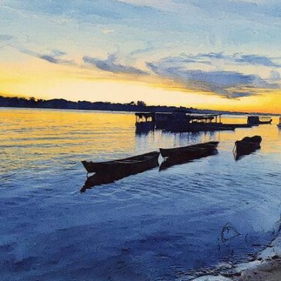 Níveis de contaminação do rio Tocantins são revelados em novo estudo ambiental