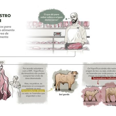 Carne rastreada: como garantir que o boi não contribuiu para o desmatamento