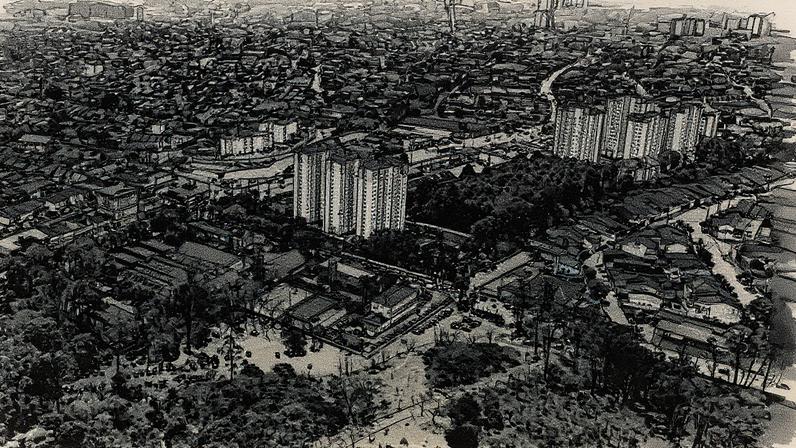 Vista aérea de casas e prédios ao lado do Parque do Carmo, na zona leste de São Paulo (Foto: Reprodução)