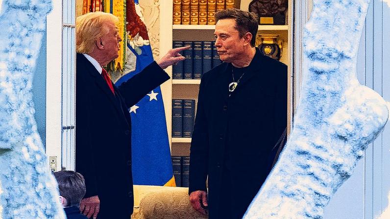 O presidente dos EUA, Donald Trump, conversa com o bilionário Elon Musk, dono do X. Tarifaço americano colocou regulação de big techs no Brasil no centro das atenções (Foto: ROBERTO SCHMIDT / AFP)