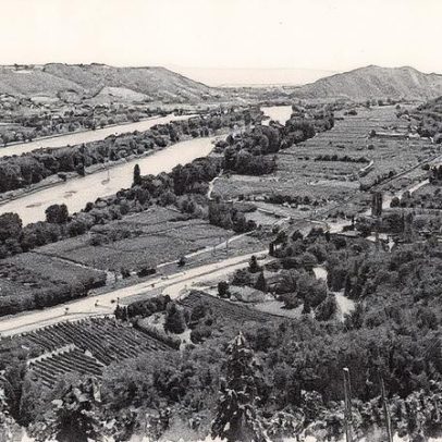 Vinhos da Vallée du Rhône a menos de 20 euros para aproveitar na Foire aux vins 2025