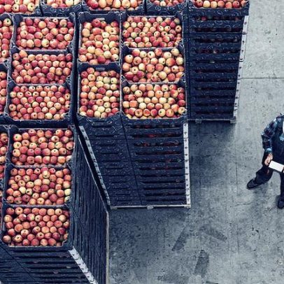 Brasil enfrenta desafios e oportunidades com tarifa de Trump nas exportações de frutas
