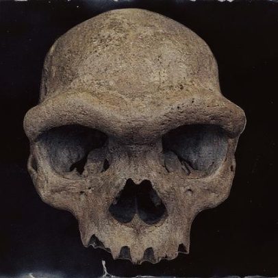 DNA denisovano pode ter influenciado a migração dos primeiros humanos nas Américas