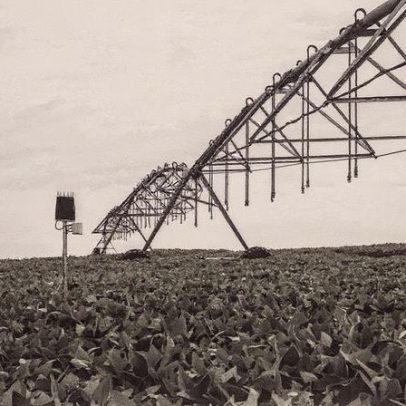 Investidores apostam em pauta climática e impulsionam mercado de capitais