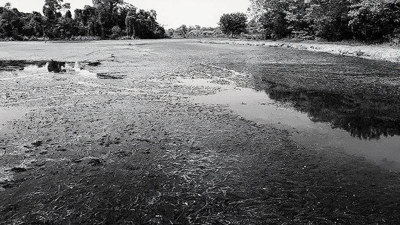 Lagoa de captação do Rio Batalha em Bauru com nível baixo, levando à adoção de rodízio de água (Foto: Reprodução)