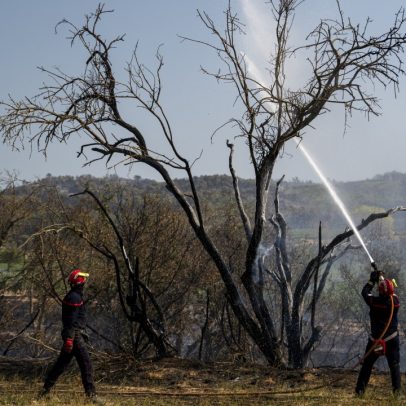 Incêndios no sul da França devastam vinhedos e comprometem safra de 2025
