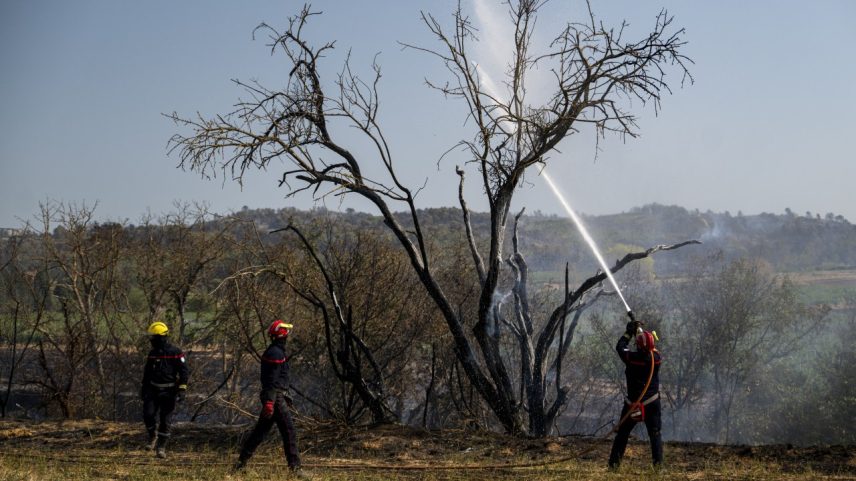 Incêndio florestal em Saint-Laurent-de-la-Cabrerisse, na França (Foto: Getty/Getty Images)