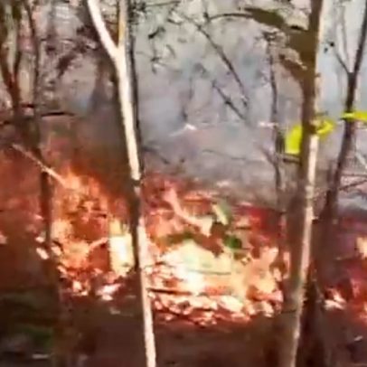 Incêndio criminoso no Parque do Juquery destrói área de 2.000 m² e adolescentes são soltos