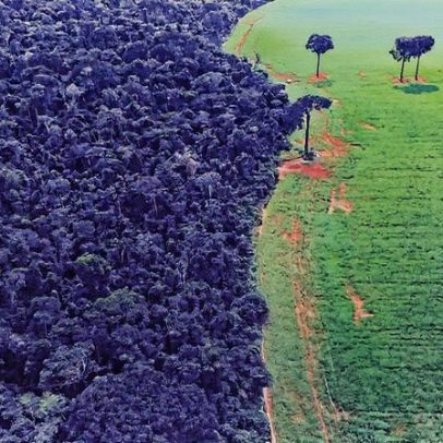 Fundos sustentáveis crescem 48% em 2023, mas ainda têm baixa representatividade