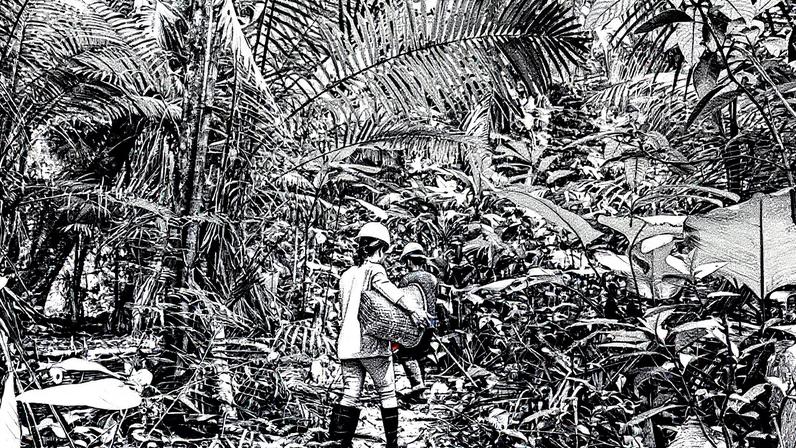 Brasil propõe e aprova, por unanimidade, os dez princípios da bioeconomia durante o último encontro do G20 (Foto: Reprodução)