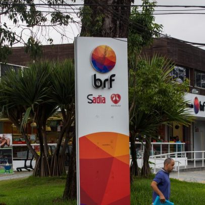 BRF registra semestre histórico apesar dos desafios da gripe aviária