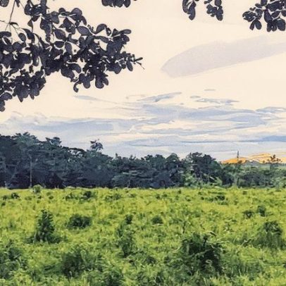 Malária avança na Amazônia em áreas com degradação parcial do meio ambiente
