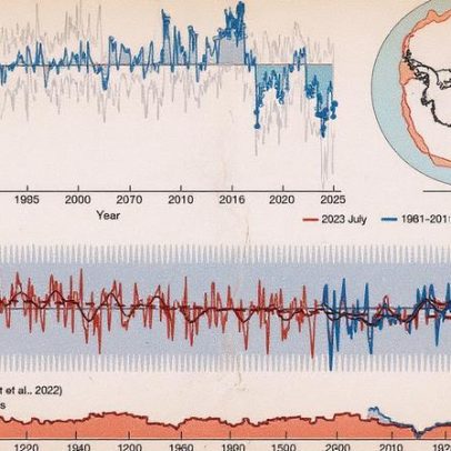 Antártida revela mudanças abruptas em seu ambiente devido à crise climática