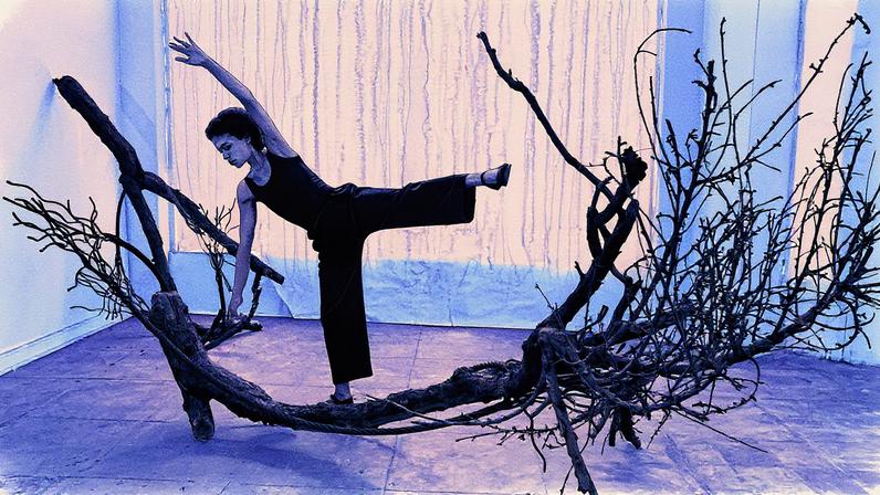 Documentação da performance Tree Duet I, 5617 San Vicente Blvd, Los Angeles, ca. 1974. (Foto: Adam Avila/Courtesy Susan Inglett Gallery, New York)