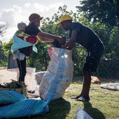 Trump provoca impacto na produção de baunilha em Madagascar com guerra comercial