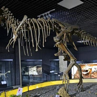 Conflito entre países ricos e Sul Global por fósseis de dinossauros