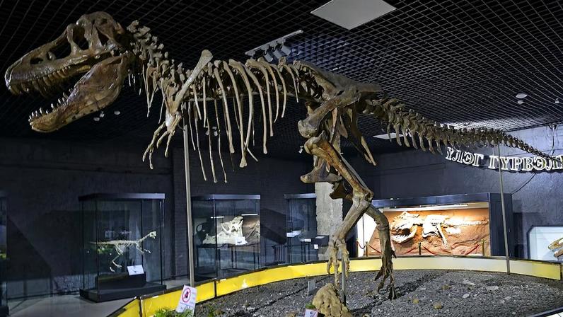 ‘Guerra fria jurássica’: como países ricos e do Sul Global brigam por fósseis de dinossauros