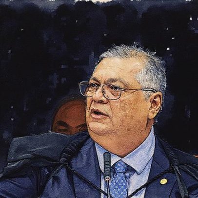Brasil enfrenta 'deserto institucional' e risco de ativismo judicial, diz Dino